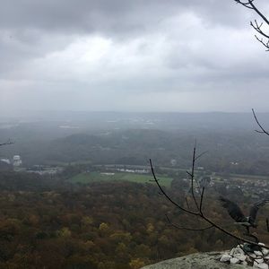 Meet your Posher, Tonya